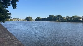 IMG_0291.jpeg IMG_0291.jpeg