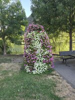 20260716_075544.jpg 20260716_075544.jpg