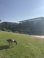 IMG_2406.jpeg IMG_2406.jpeg
