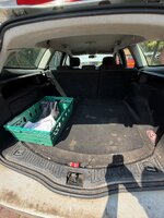 IMG_0182.jpeg