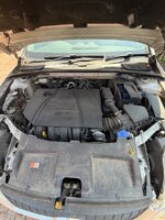 IMG_0183.jpeg