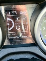 IMG_5313.jpeg IMG_5313.jpeg