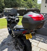 IMG_5314.jpeg
