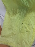 20260720_074226.jpg