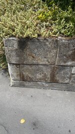 IMG_0417.jpeg