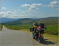 200726-Home Straight.jpg