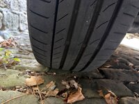 IMG_3448.jpeg