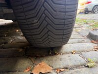 IMG_3447.jpeg