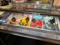 IMG_2237.jpeg