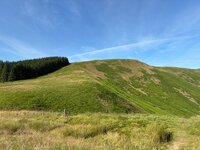 IMG_2240.jpeg