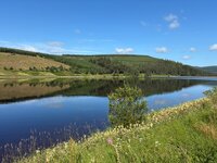 IMG_2255.jpeg