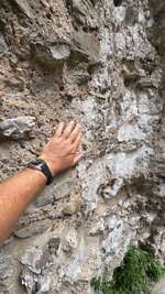 IMG_0429.jpeg