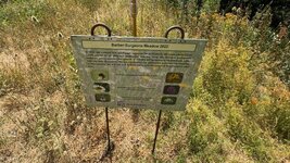 IMG_0440.jpeg