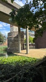 IMG_0443.jpeg