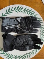 gloves1.jpeg
