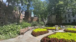 IMG_0479.jpeg