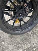 IMG_8307.jpeg