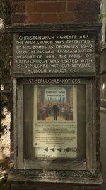 IMG_0507.jpeg