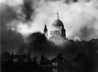IMG_2137.jpeg
