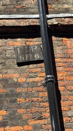 IMG_0519.jpeg