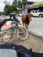 IMG_5927.jpeg