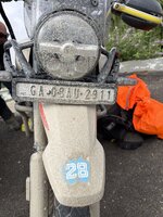 IMG_5990.jpeg IMG_5990.jpeg