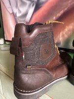 IMG_2773.jpeg
