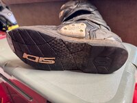 IMG_6241.jpeg IMG_6241.jpeg