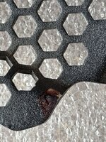 IMG_3067.jpeg IMG_3067.jpeg