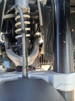 IMG_5095.jpeg
