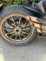 IMG_2973.JPEG IMG_2973.JPEG