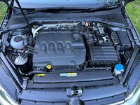 IMG_1774.jpeg
