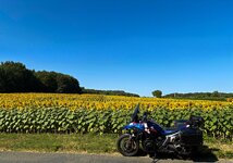 IMG_8328 edited 1-1.jpg