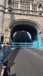 IMG_0685.jpeg IMG_0685.jpeg