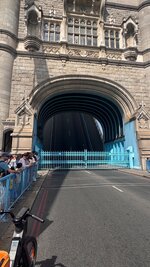 IMG_0686.jpeg IMG_0686.jpeg