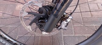 IMG_20260729_102017.jpg