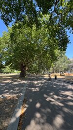 IMG_0692.jpeg IMG_0692.jpeg