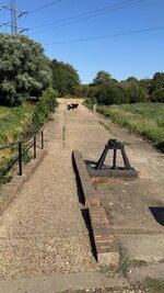 IMG_0731.jpeg IMG_0731.jpeg