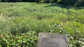 IMG_0727.jpeg IMG_0727.jpeg