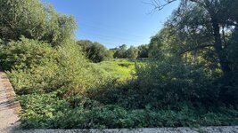 IMG_0734.jpeg IMG_0734.jpeg