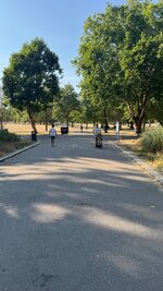 IMG_0740.jpeg IMG_0740.jpeg