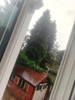 20260731_100128.jpg