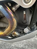 IMG_7868.jpeg