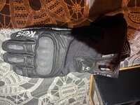 IMG_3093.jpeg
