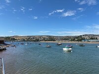 IMG_2303.jpeg IMG_2303.jpeg