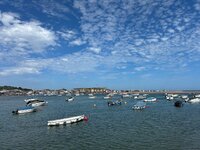 IMG_2304.jpeg IMG_2304.jpeg