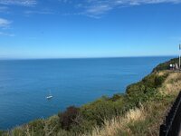 IMG_2313.jpeg IMG_2313.jpeg