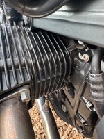IMG_9567.jpeg