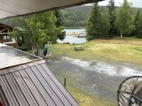 IMG_2439.jpeg IMG_2439.jpeg