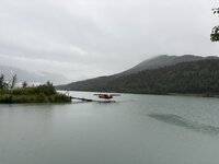 IMG_2454.jpeg IMG_2454.jpeg
